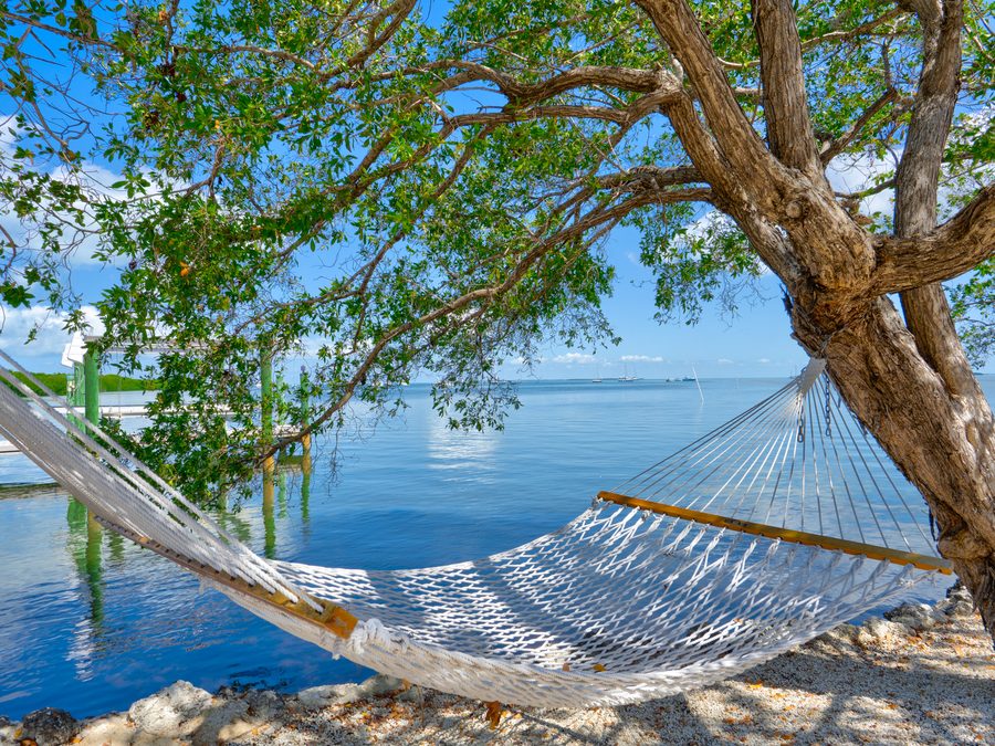 Hammock under tree canopy with Florida Keys bay view — IMMERSE™ POV technique
