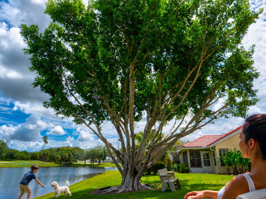 Lifestyle moment with family by lake and Florida home — IMMERSE™ Live